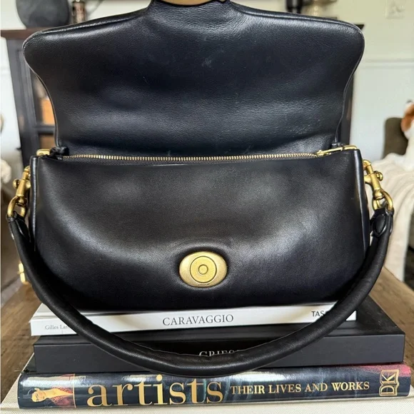 Coach Pillow Tabby - Picture 6 of 10